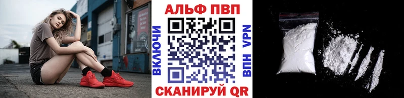 A PVP СК  Грозный 