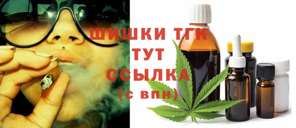 ешки Верхний Тагил