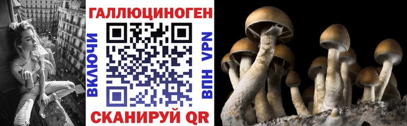 Галлюциногенные грибы ЛСД  Грозный 
